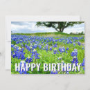 Search for happy birthday wildflowers postcards Pretty