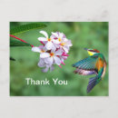 Search for bee photo cards Flowers