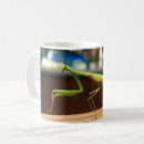 Search for mantis mugs Nature