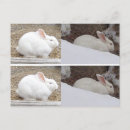 Search for bunnie postcards Book