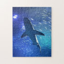 Search for shark puzzles Fish