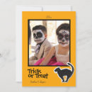 Search for black cat halloween cards Orange