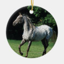 Search for appaloosa horse christmas tree decorations Running