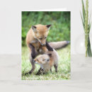 Search for fire island cards Animals in the wild