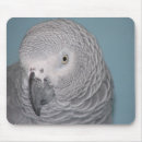 Search for african grey mousepads Parrot