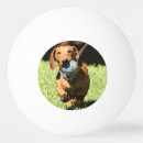 Search for pet dog ping pong balls Create your own photo