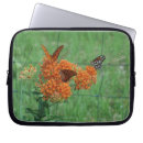 Search for monarch electronics Butterfly