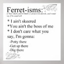 Search for ferret art posters Quotes