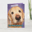 Search for dog apology cards Forgiveness