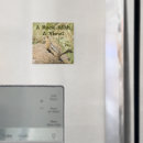 Search for profiling magnets Photograph