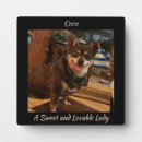 Search for dog photo display Gift