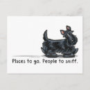 Search for black scottie postcards Scottish terrier