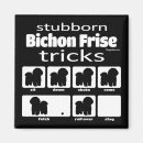 Search for bichons magnets Funny