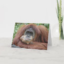 Search for muses cards Smile