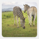 Search for feed the animals stickers Rural scene