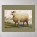 Search for vintage farm posters Sheep