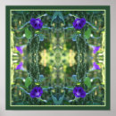 Search for morning glory posters Flower