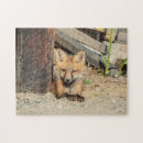 Search for red fox puzzles Animal