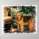 Search for welsh terrier art Cute
