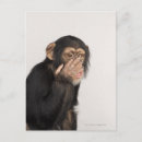 Search for monkey face postcards Vertical