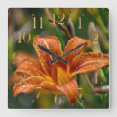 Search for florists art Lily