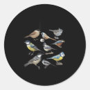 Search for funny birds stickers Lover