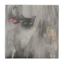 Search for siamese cat tiles Animal