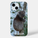 Search for koala iphone cases Wildlife