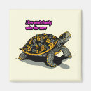 Search for tortoise magnets Illustration