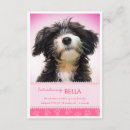 Search for cat paw print invitations Pink