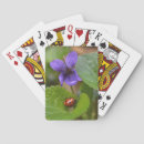 Search for ladybug playing cards Insect