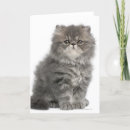 Search for 2 month cards Animal