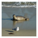 Search for la jolla posters San diego