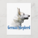 Search for white german shepherd postcards Dog