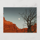 Search for moon postcards Desert