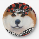 Search for akita plates Japan