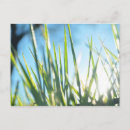 Search for sunlit postcards Sunlight