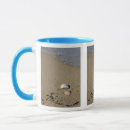 Search for seashell photo mugs Seaside