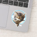 Search for cat nap stickers Cute