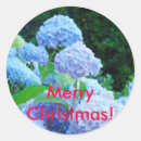 Search for lavender hydrangea stickers Floral