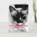 Search for funny cat valentines day cards Grumpy