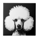 Search for poodles tiles Retro