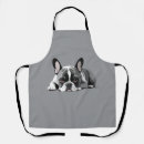 Search for canine aprons French bulldog