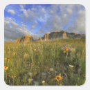 Search for national stickers Montana