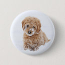 Search for goldendoodle badges Mix breed