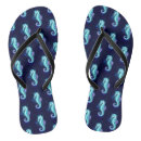 Search for horse shoes Sea