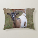 Search for goat cushions Animal