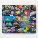 Search for corals mousepads For kids