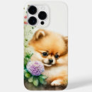 Search for pomeranian cases Puppy