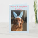 Search for golden retriever easter cards Dog
